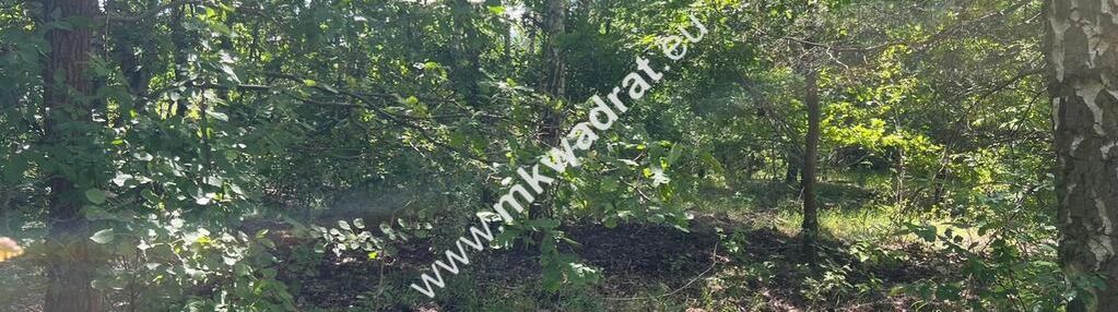Działka budowlana 3218 m2 radonie z mpzp okazja