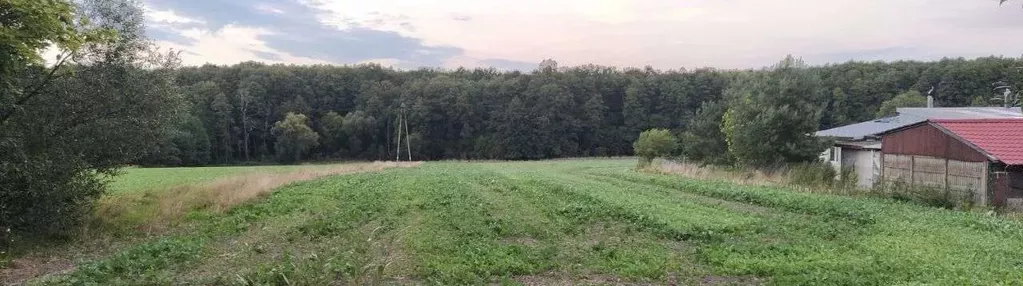 Działka z widokiem na las, Gałkówek Kolonia