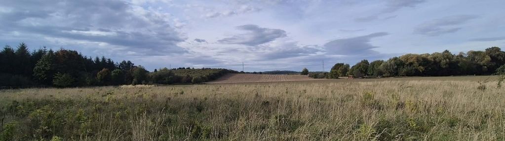 Budowlana działka z możliwością podziału w kłaczynie.