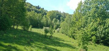 Działka budowlana w obszarach naturalnych.