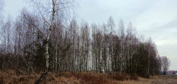 Działki inwestycyjne wśród zieleni