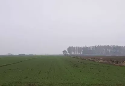 Działka na sprzedaż 1000m2