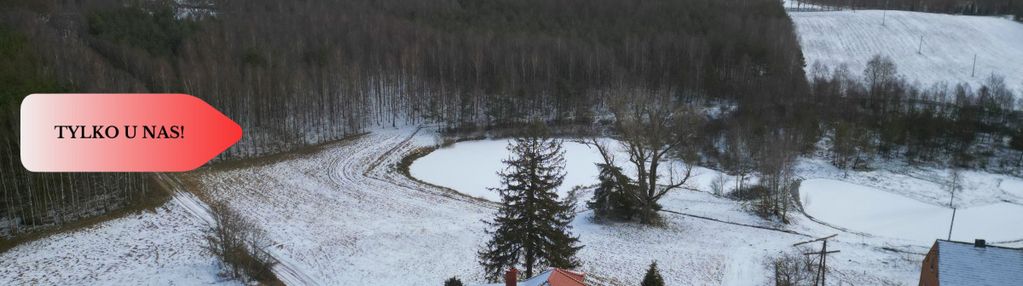 Siedlisko ze stawem na własność!!