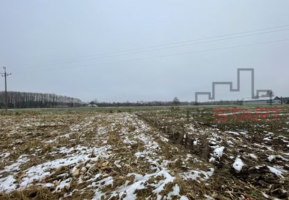 Idealna do podziału. zapraszam