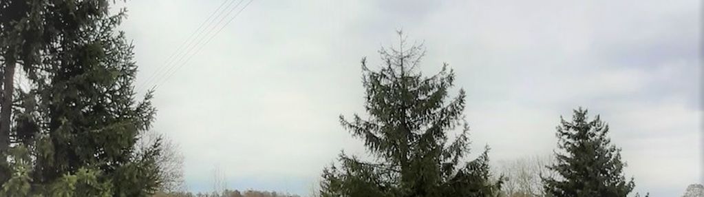 Tanowo działka rzemieślnicza 3500 m2.