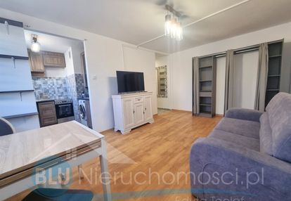 Głogów, kawalerka po remoncie, wynajem