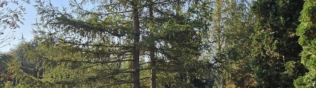 Działka budowlana blisko rzeki wkra