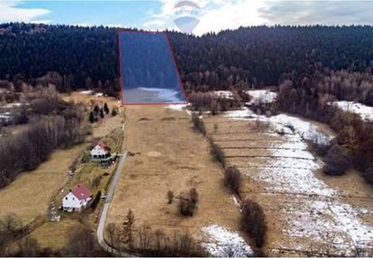 Duża działka 30 arów z 2 ha prywatnego lasu