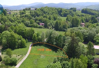 Działka ukryta w zielonym zaciszu nad strumieniem