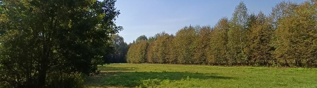 3122m2 z wz, celinów.