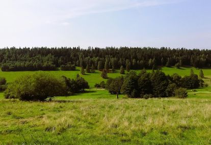 Piękna działka z widokiem na góry blisko czarnej góry