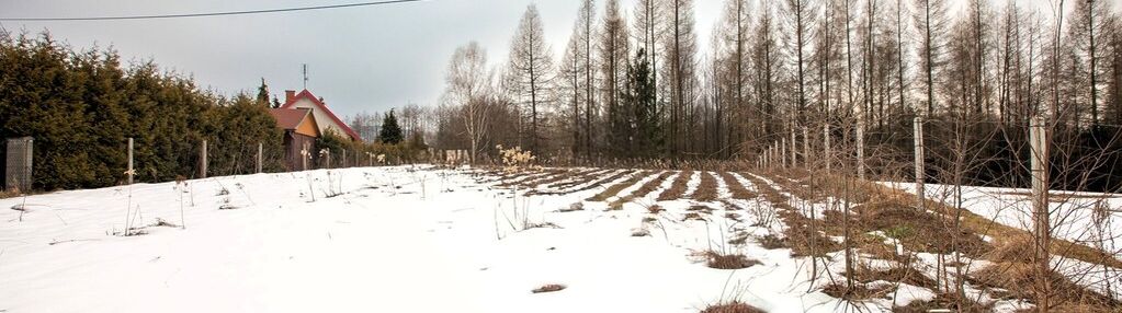 Działka na sprzedaż, joniny | gm. ryglice 109 tyś!