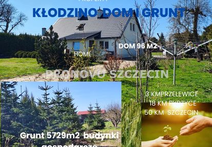 Kłodzino,przelewice nieruchomość gruntowa dom