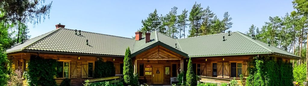 Bajkowa posesja w magicznym lesie. żagno, skępe.