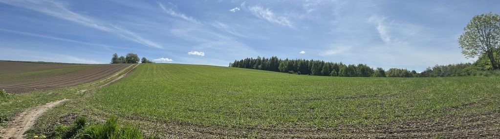 Działka z warunkami zabudowy 2138 m2 | zła wieś