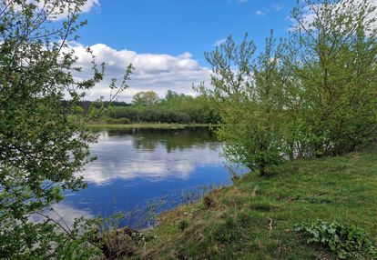 Działki z widokiem na narew nowogrodzie