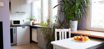 4 pokoje, rozkładowe, zieleń za oknem