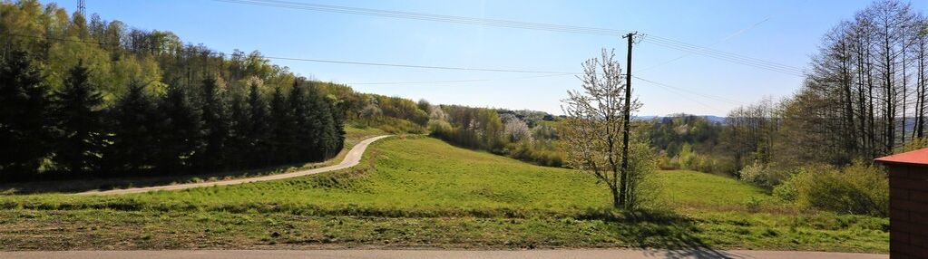 Na sprzedaż działka idealna pod winnice
