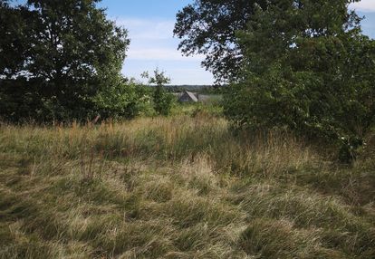 Dzałka w strzemieczne-wiosny-cisza, natura,dogodny dojazd