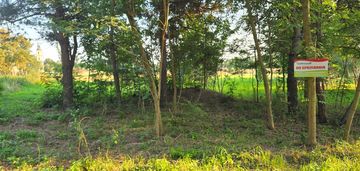 Oferta działek w koloni witów