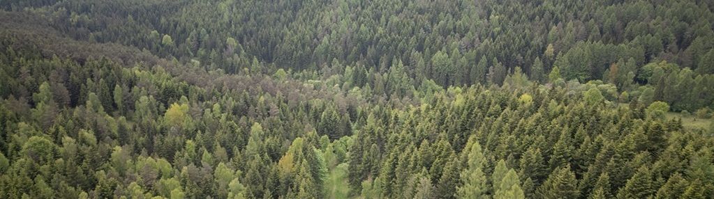 Działka rolna w krzeszowie