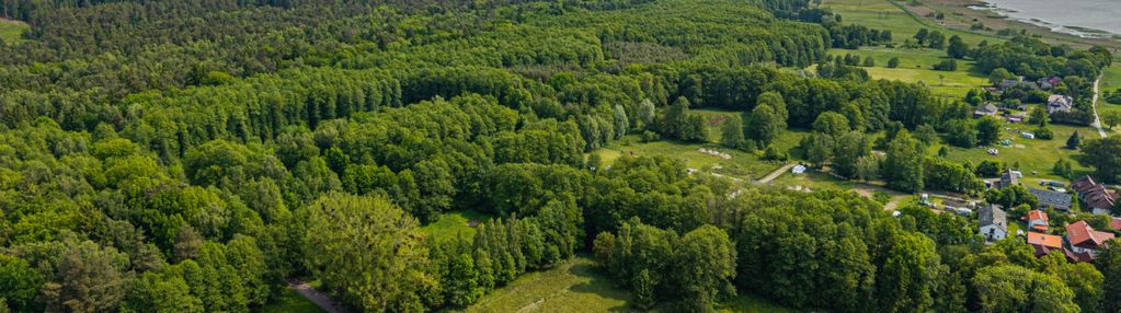 Piękna działka - krynica morska