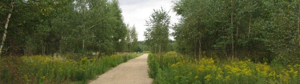 3381 m² pod dom lub inwestycję /park krajobrazowy
