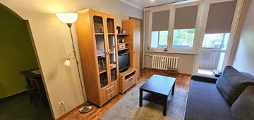 Wygodne i zadbane mieszkanie w centrum Katowic