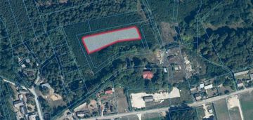 Działka budowlana 3 194 m2 zakościele nad pilicą
