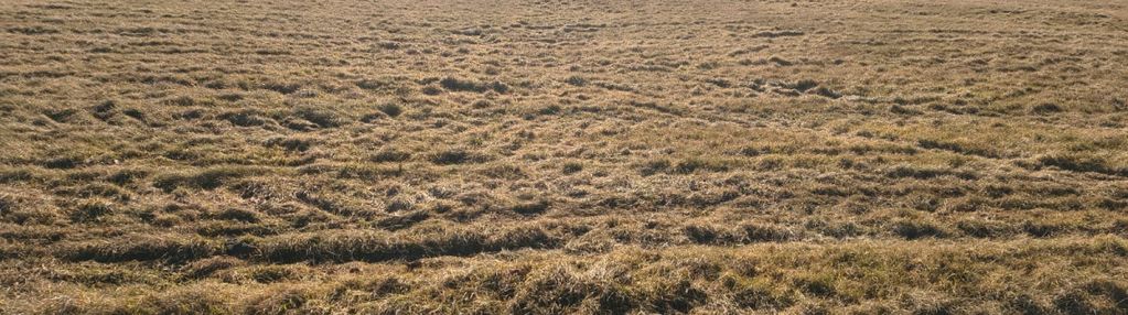 Działka rolna na malowniczym terenie