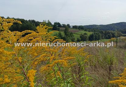 Działka budowlana w gminie raciechowice