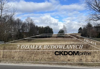 Wyjątkowa działka na sprzedaż – 1 ha w rytwianach
