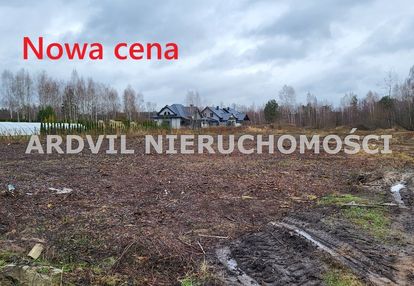 Uzbrojona grabówka ładna