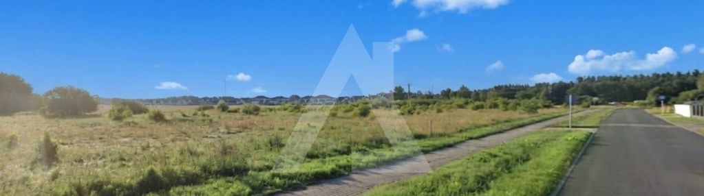 W pełni uzbrojona, 50m mzk, las!