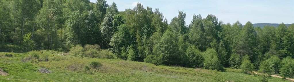 Pięknia działka budowlana tuż przy olbrzymach