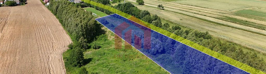 53 ary z lasem, nie opodal dk94, kemping