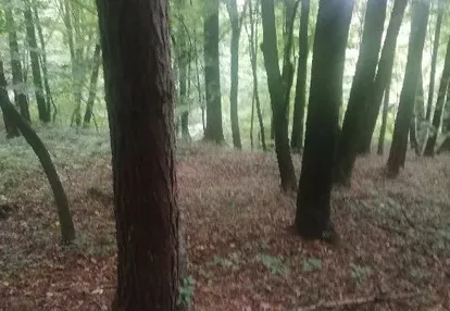 Działka na sprzedaż 203m2