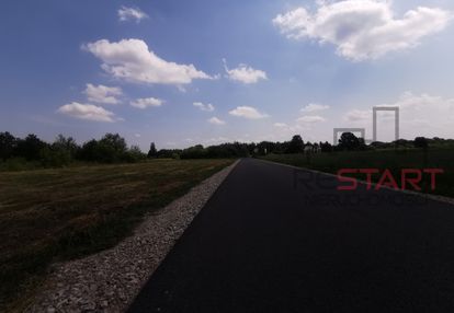Przy drodze, wz.