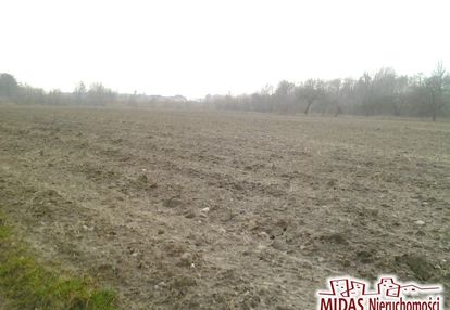 3,38 ha w okolicy zalesia gm. chodecz