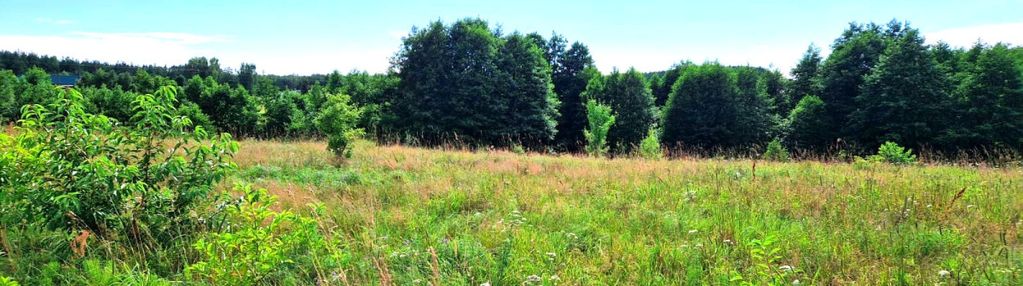 Działka budowlana z linią brzegową rzeki prusina