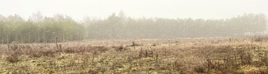 Działki z wz żołędowo