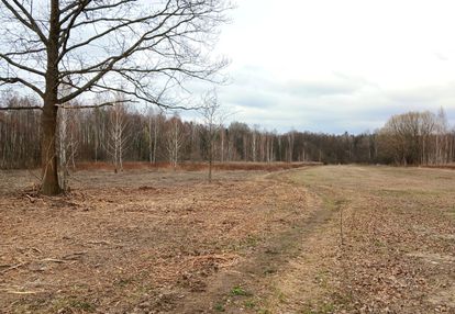 Projekt deweloperski przy lesie-8 działek