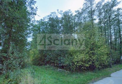 Piękna zalesiona działka z możliwością zabudowy