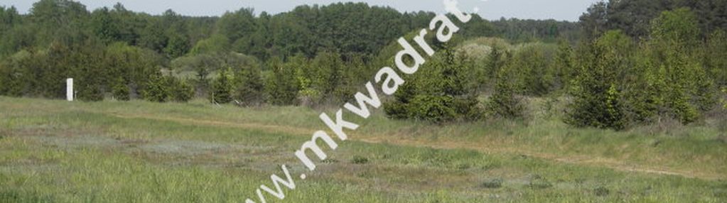 Działka w sąsiedztwie lasu
