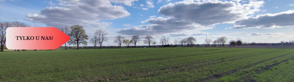Działki blisko natury! wiśniewa koło sępólna!