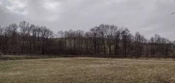 Działka na sprzedaż 900m2