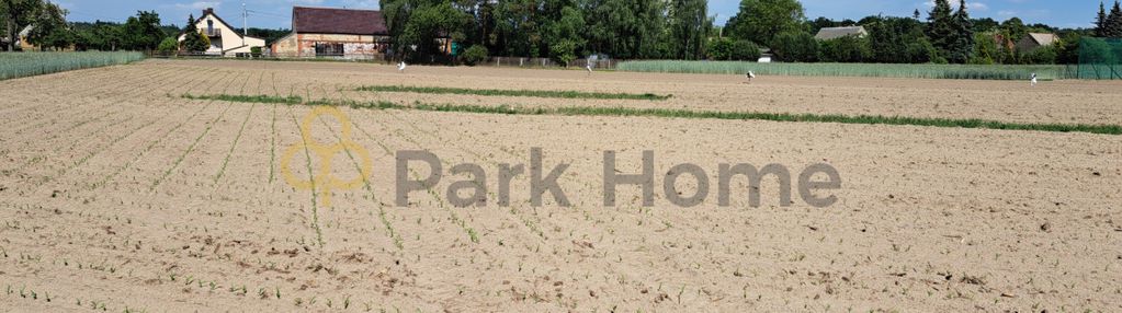 Działka budowlana z widokiem na las