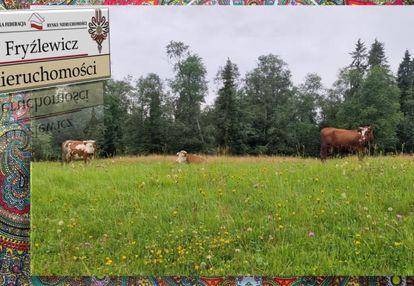 Tania działka na podhalu