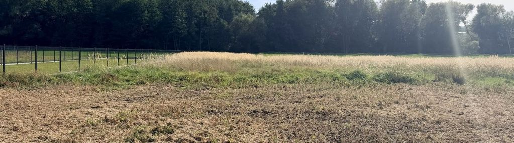Trąbki gmina biskupice działka o powierzchni 19 a