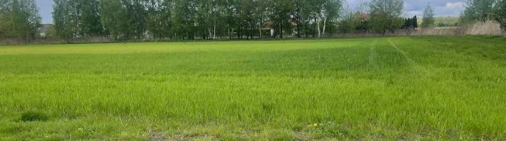 Atrakcyjna działka usługowa niedaleko centrum